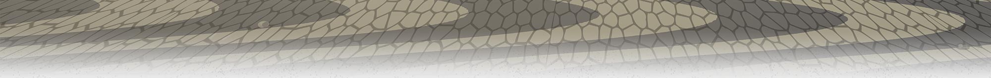 Anacondas