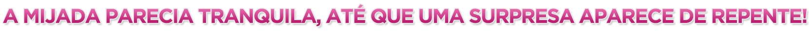 Buraco Surpresa